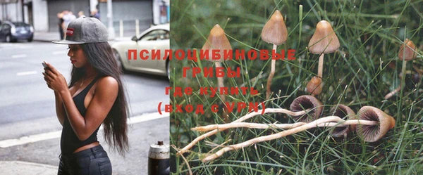 ALPHA-PVP Новокубанск