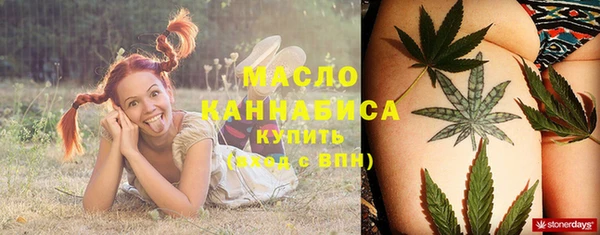 тгк Новодвинск