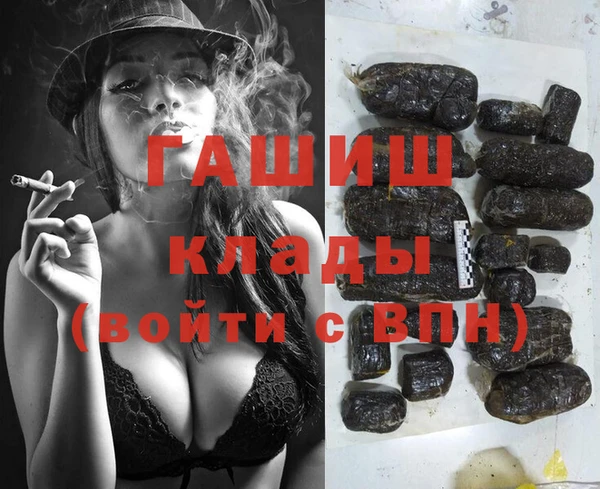 тгк Новодвинск