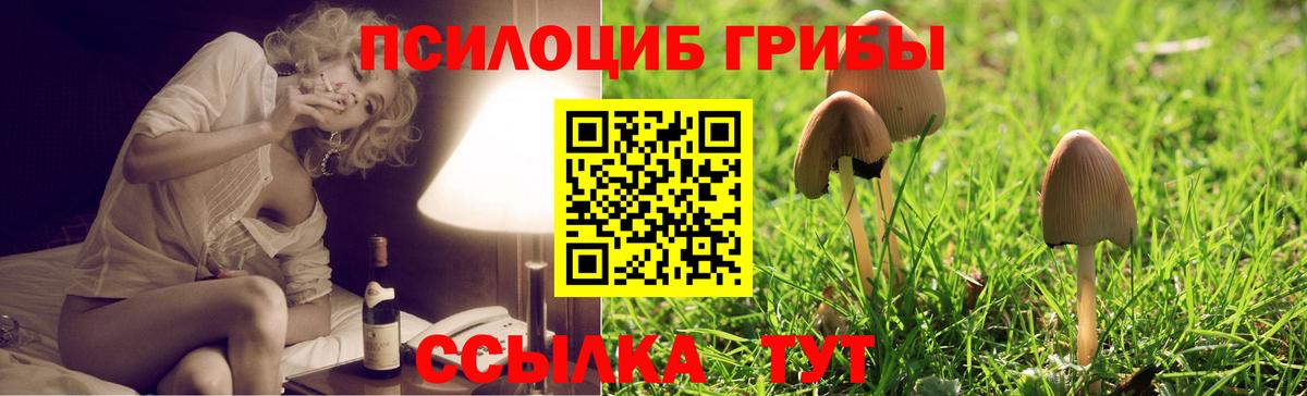Галлюциногенные грибы Cubensis Магадан